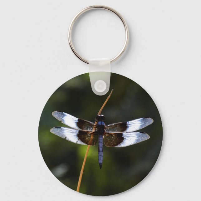 Chaveiro Male Widow Skimmer Dragonfly (Frente)