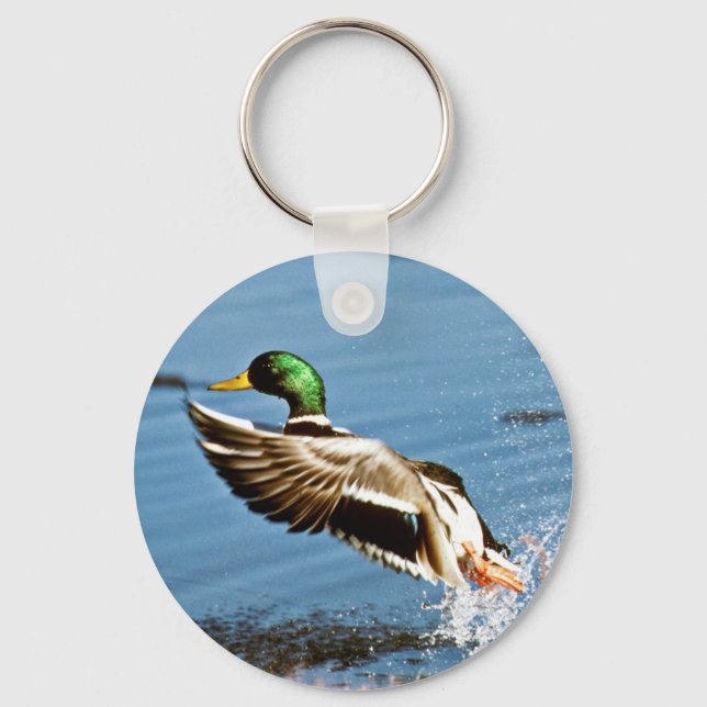 Chaveiro Mallard drake (Frente)
