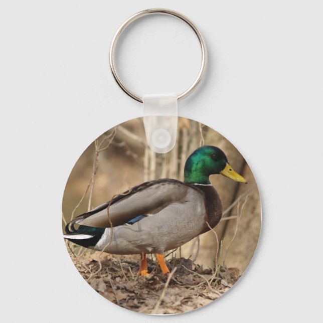 Chaveiro MALLARD DUCK (Frente)