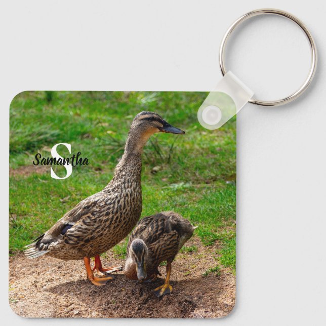 Chaveiro Mallard Duck e seu Duckring (Verso)