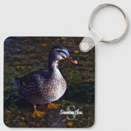 Chaveiro Mallard Duck Keyring
