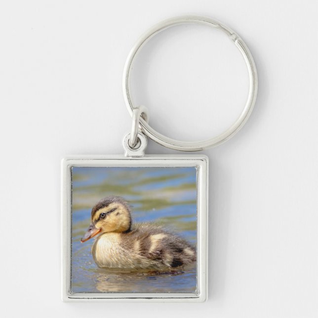 Chaveiro Mallard Duckling (Frente)