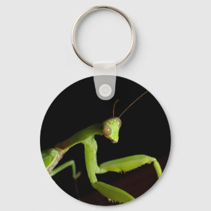 Chaveiro Mantid Praying