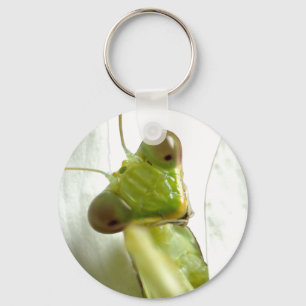 Chaveiro Mantids