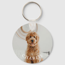 Manutenção Personalizada de Fotografias de Pet de 