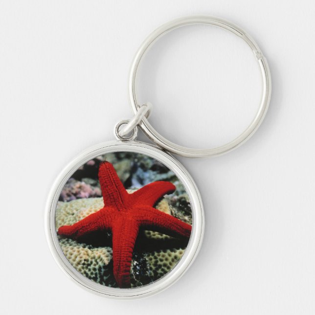 Chaveiro Mar Vermelho dos peixes | da estrela (Frente)