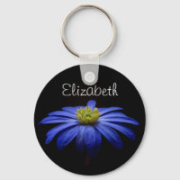 Margarida Azul Personalizada Gerbera Flor