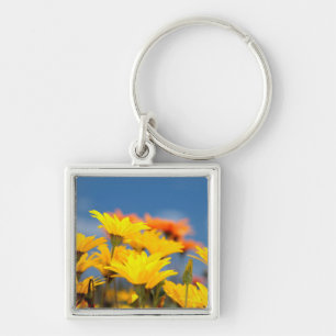 Chaveiro Margaridas Laranja e Amarelo de Namaqualand