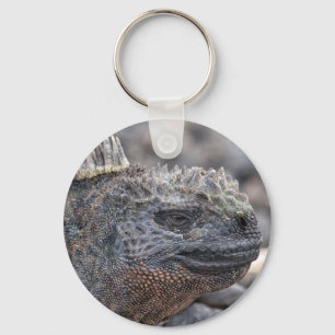 Chaveiro Marine Iguana