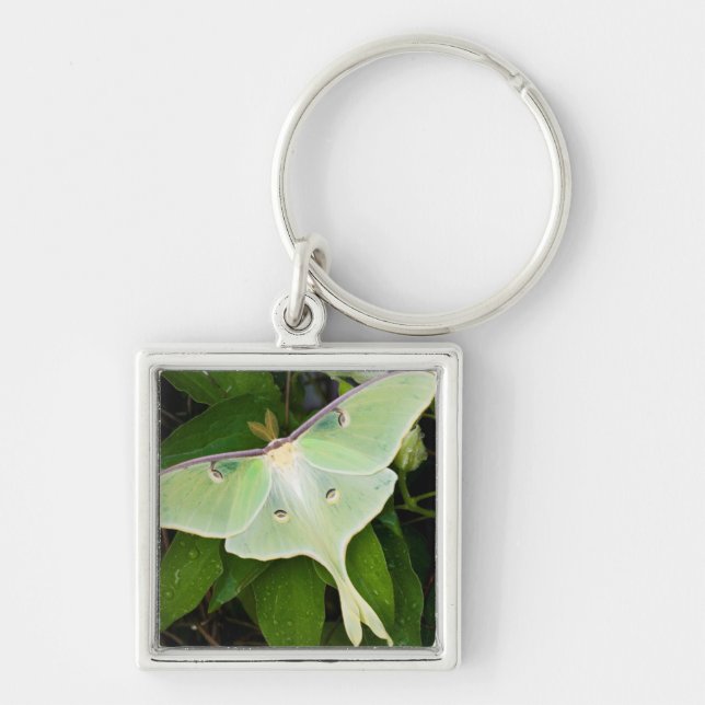 Chaveiro Mariposa Lunar em Clematite de Carnaby (Frente)