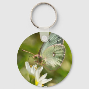 Chaveiro Mariposa Verde em Falsa Alho Roupas e Presentes