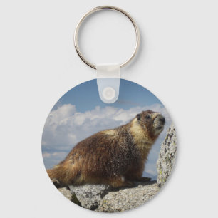 Chaveiro Marmota inchada amarelo em Yosemite