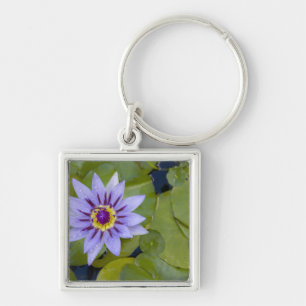 Chaveiro Martinica, Antilhas Francesas, Índias Ocidentais,