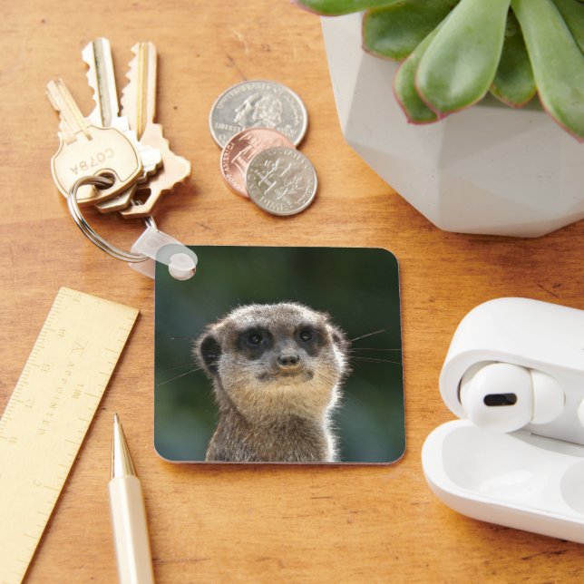 Chaveiro Meerkat 068 (Mesa)