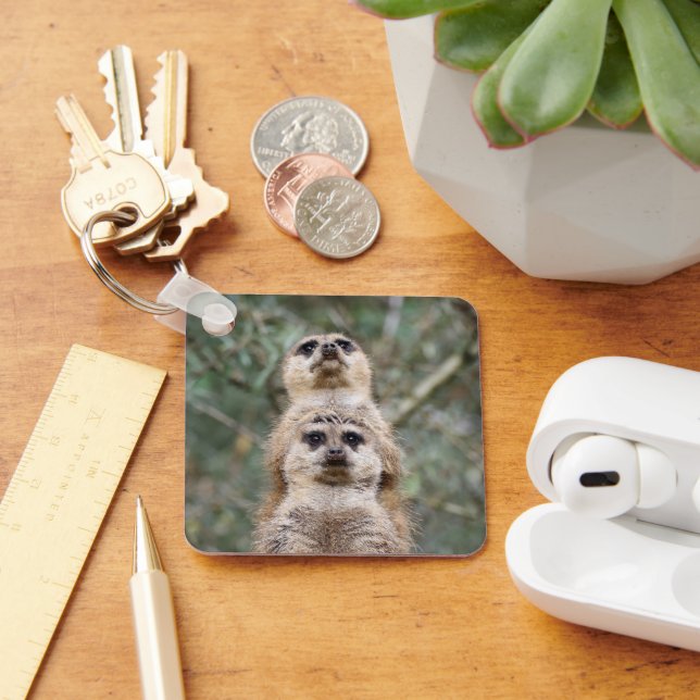 Chaveiro Meerkat 081 (Mesa)