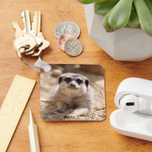 Chaveiro Meerkat 174
