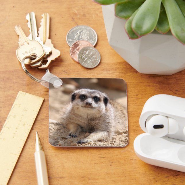 Chaveiro Meerkat 174 (Mesa)