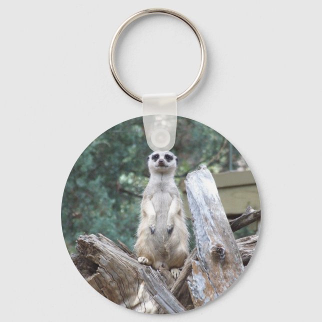 Chaveiro Meerkat Keyring (Frente)