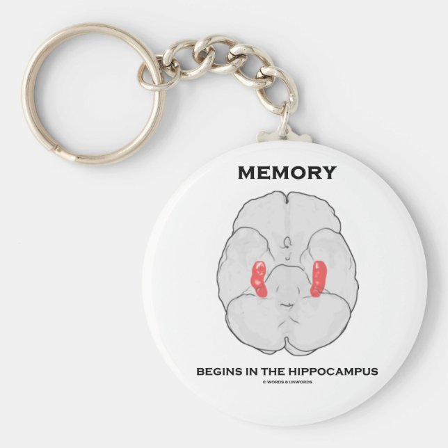 Chaveiro Memória Começa No Hippocampus (Psicologia) (Frente)