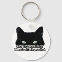 Memória de gato rabugento para amantes de gatos e