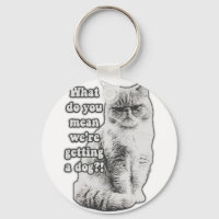 Memória grumpy grumpy para amantes e donos de gati