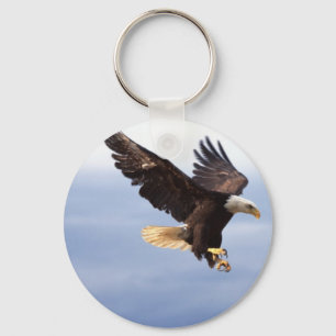 Chaveiro Mergulho da águia americana