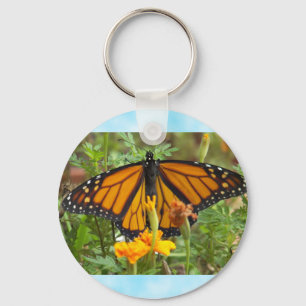 Chaveiro Meu Borboleta-chaveiro do monarca