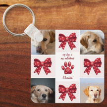 Meu Cachorro É Meu Namorados Arco 4 Fotos