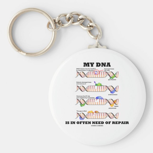 Chaveiro Meu DNA Frequentemente Precisa De Reparo (Humor De (Frente)