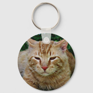 Chaveiro Meu gato Rudy