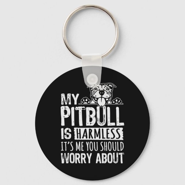 Chaveiro Meu Pitbull Está Sem Prejuízo. Você Deveria Se Pre (Frente)