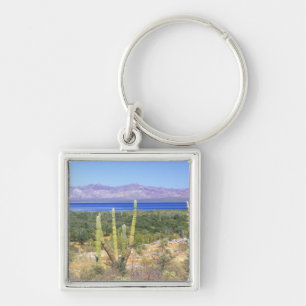 Chaveiro México, Baja California Sur, Cardon Cactus em