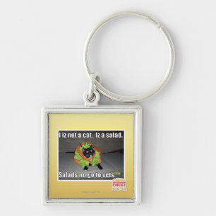 Chaveiro Mim iz não um gato. Iz um salad.