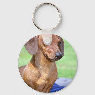 Chaveiro Minature Smooth Dachshund