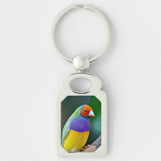 Chaveiro Mingau-gouldian (Frente)