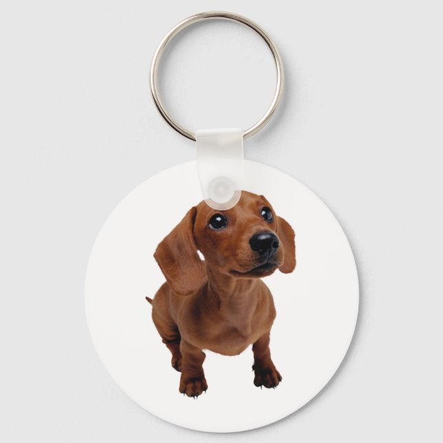 Chaveiro Mini Dachshund Keyring (Frente)