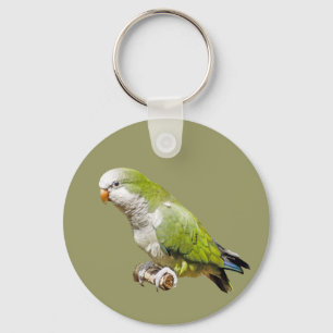 Chaveiro Monk Parakeet