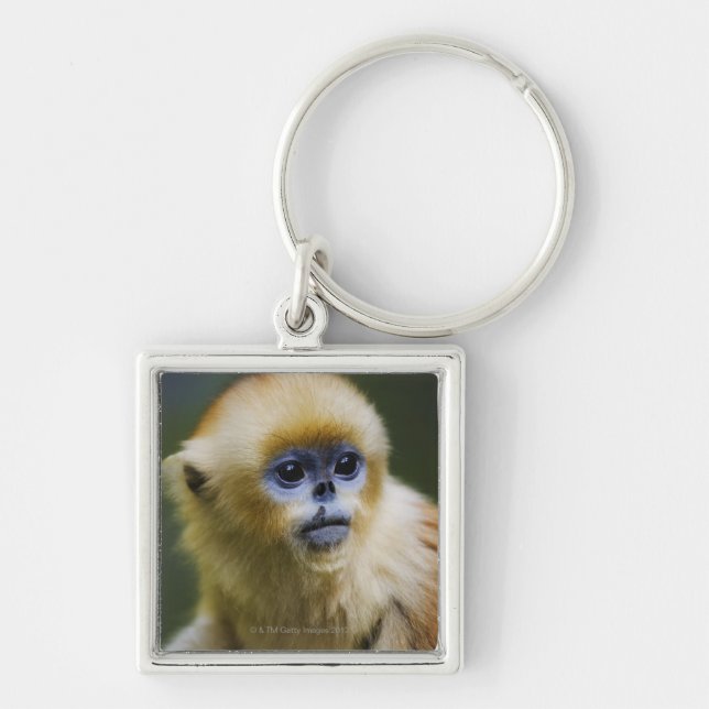 Chaveiro Montanhas de Qinling, em outubro de 2006 (Frente)