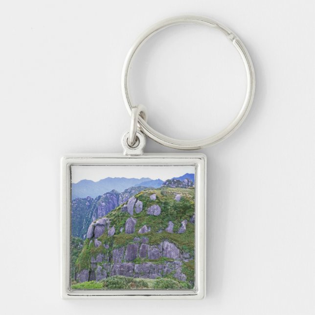 Chaveiro Monte Nagata, Yakushima, Kagoshima, Japão (Frente)