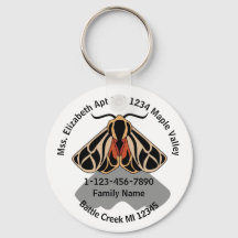 Morada inicial da família Mth do Tiger