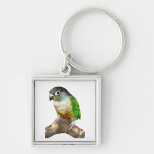 Chaveiro Mordente verde Conure