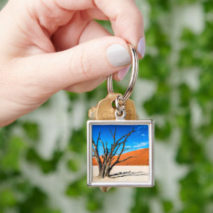 Chaveiro Morto em Deadvlei, Namíbia