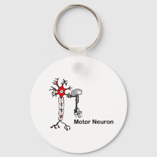 Chaveiro Motor Neuron