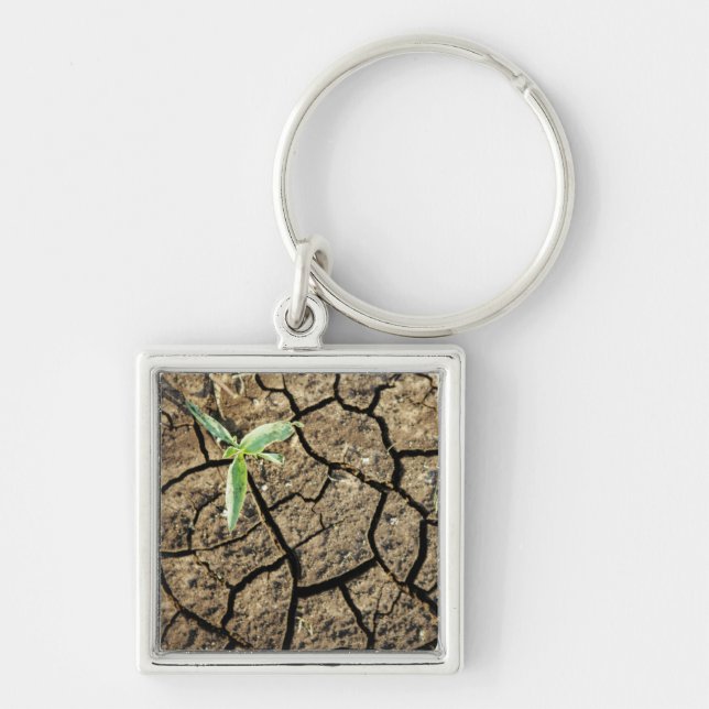 Chaveiro Muda na Terra Rachada (Frente)