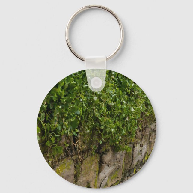 Chaveiro Muro De Ivy (Frente)