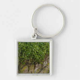 Chaveiro Muro De Ivy