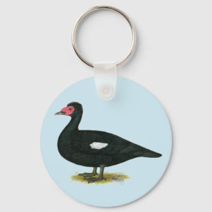 Chaveiro Muscovy Black Drake