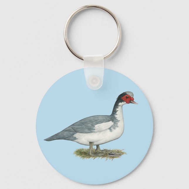 Chaveiro Muscovy Blue Pied Drake (Frente)