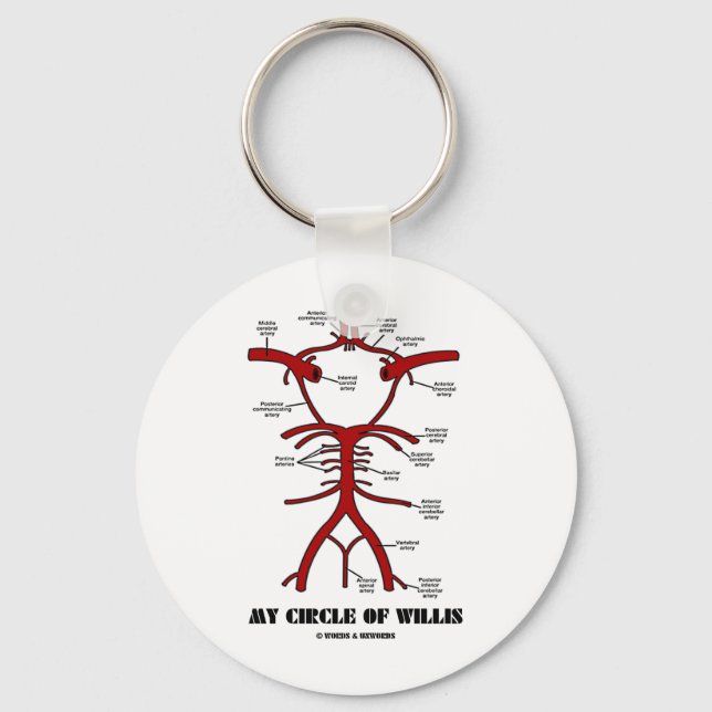 Chaveiro My Circle Of Willis (Arteries Anatomical Humor) (Frente)