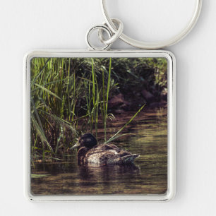 Chaveiro Na borda de Pond